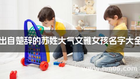 出自楚辞的苏姓大气文雅女孩名字大全