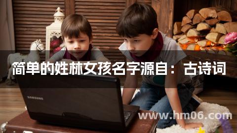 简单的姓林女孩名字源自：古诗词