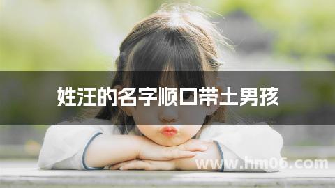 姓汪的名字顺口带土男孩