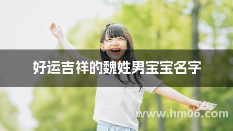 好运吉祥的魏姓男宝宝名字