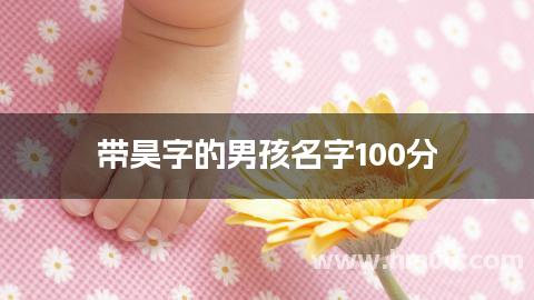带昊字的男孩名字100分