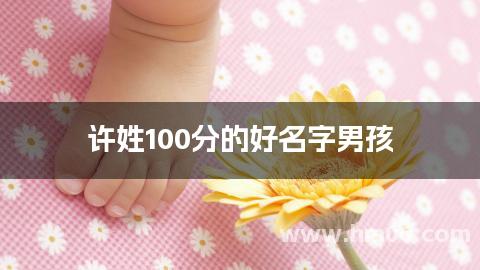 许姓100分的好名字男孩