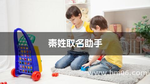 秦姓取名助手