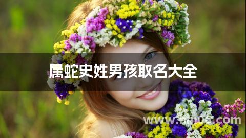 属蛇史姓男孩取名大全