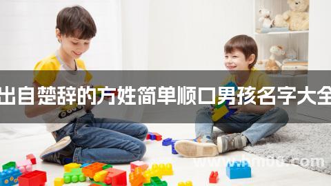 出自楚辞的方姓简单顺口男孩名字大全