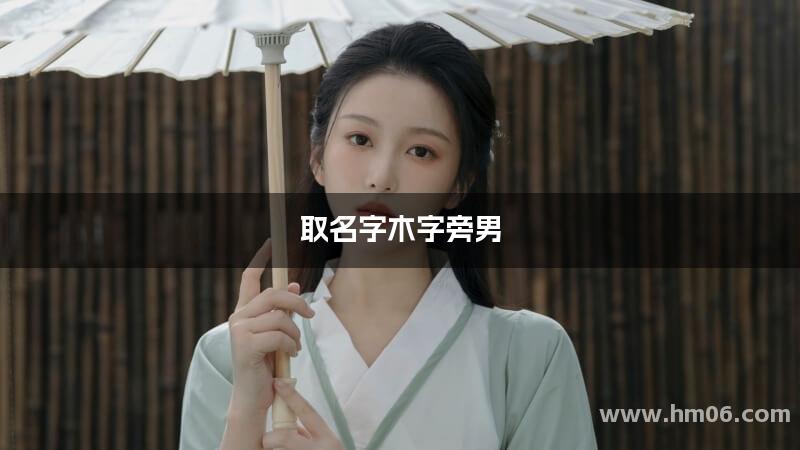取名字木字旁男