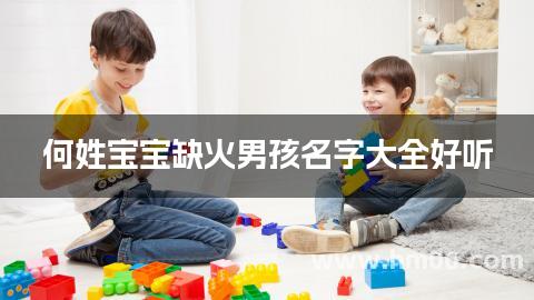 何姓宝宝缺火男孩名字大全好听