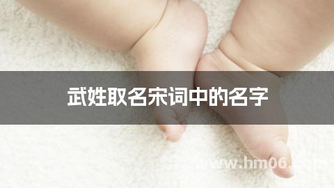 武姓取名宋词中的名字