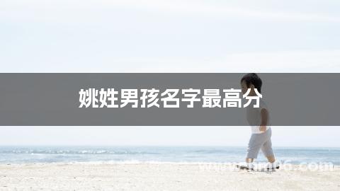 姚姓男孩名字最高分