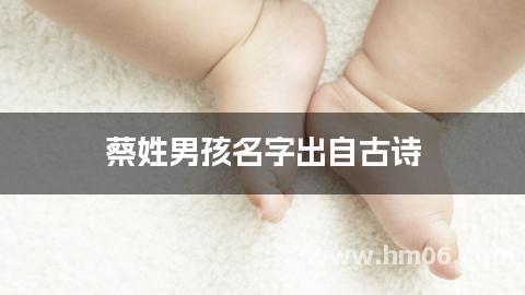 蔡姓男孩名字出自古诗