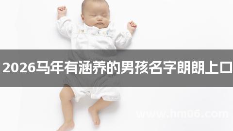 2026马年有涵养的男孩名字朗朗上口