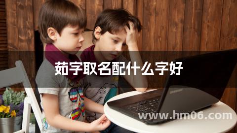 茹字取名配什么字好