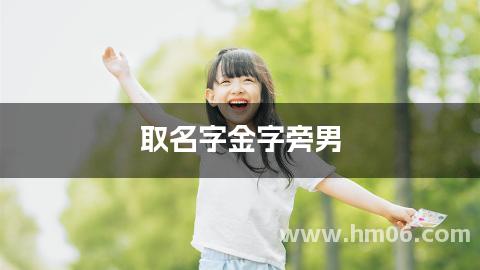 取名字金字旁男