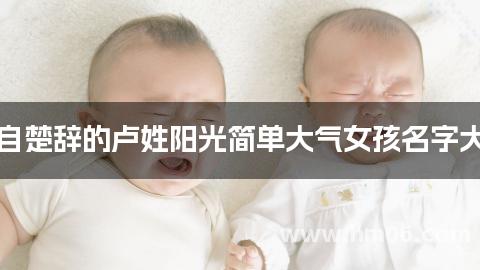 出自楚辞的卢姓阳光简单大气女孩名字大全