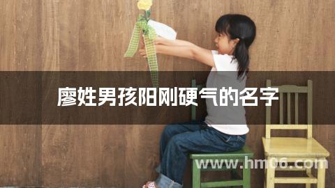 廖姓男孩阳刚硬气的名字