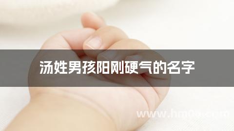 汤姓男孩阳刚硬气的名字