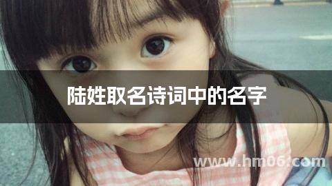 陆姓取名诗词中的名字