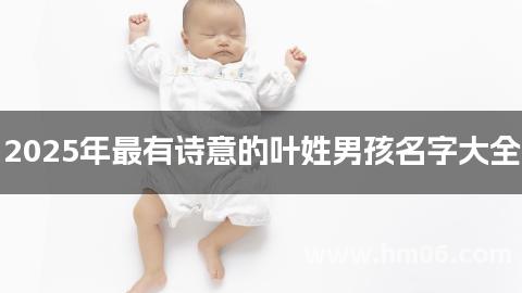 2025年最有诗意的叶姓男孩名字大全
