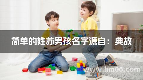 简单的姓苏男孩名字源自：典故