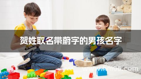 贺姓取名带蔚字的男孩名字