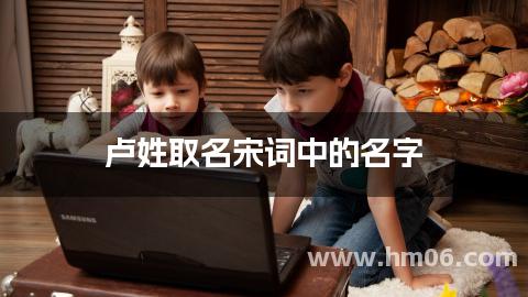卢姓取名宋词中的名字