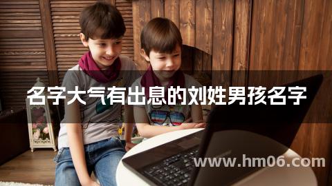 名字大气有出息的刘姓男孩名字