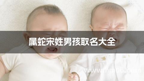 属蛇宋姓男孩取名大全