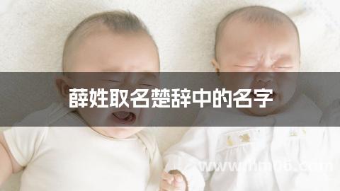 薛姓取名楚辞中的名字