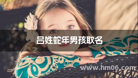 吕姓蛇年男孩取名