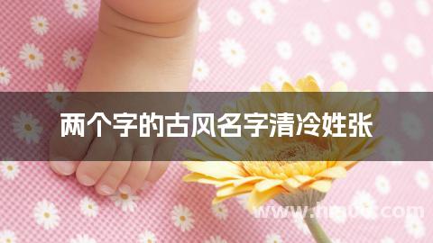 两个字的古风名字清冷姓张