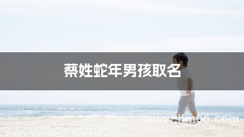 蔡姓蛇年男孩取名