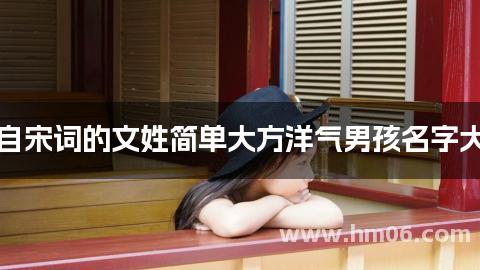 出自宋词的文姓简单大方洋气男孩名字大全