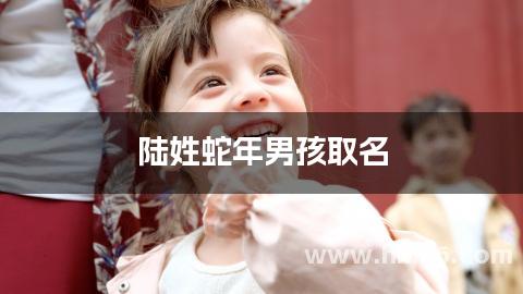 陆姓蛇年男孩取名