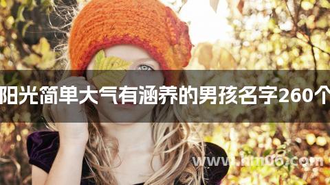 阳光简单大气有涵养的男孩名字260个