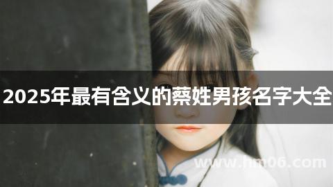 2025年最有含义的蔡姓男孩名字大全