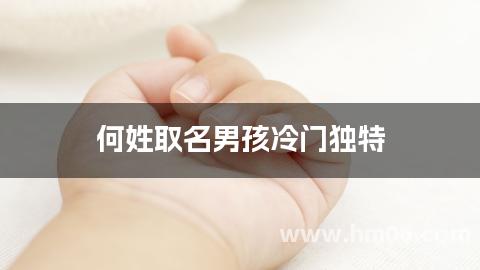 何姓取名男孩冷门独特