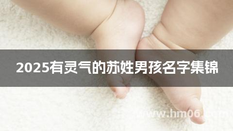 2025有灵气的苏姓男孩名字集锦