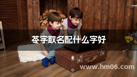 苓字取名配什么字好