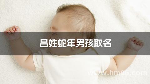 吕姓蛇年男孩取名
