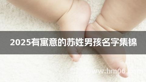2025有寓意的苏姓男孩名字集锦