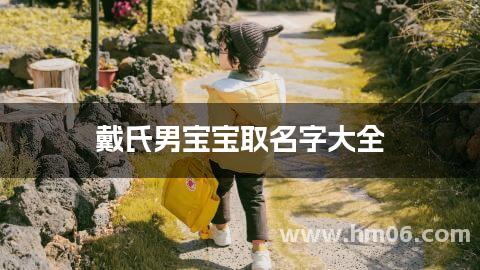 戴氏男宝宝取名字大全