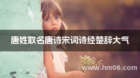 唐姓取名唐诗宋词诗经楚辞大气