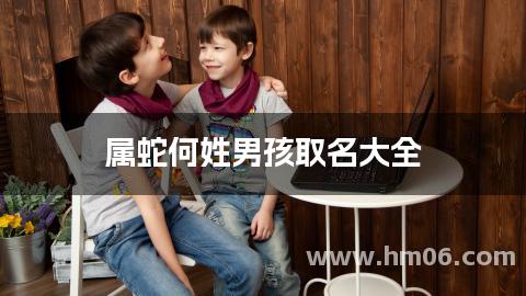 属蛇何姓男孩取名大全