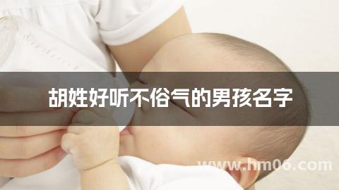 胡姓好听不俗气的男孩名字