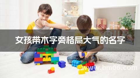 女孩带木字旁格局大气的名字