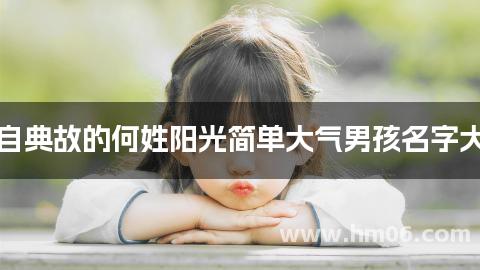 出自典故的何姓阳光简单大气男孩名字大全