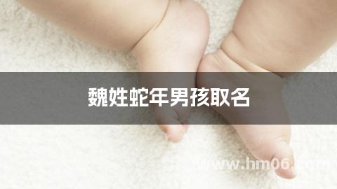 魏姓蛇年男孩取名