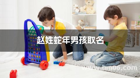 赵姓蛇年男孩取名