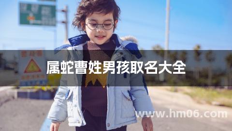 属蛇曹姓男孩取名大全