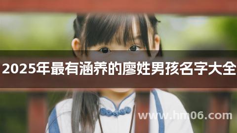 2025年最有涵养的廖姓男孩名字大全